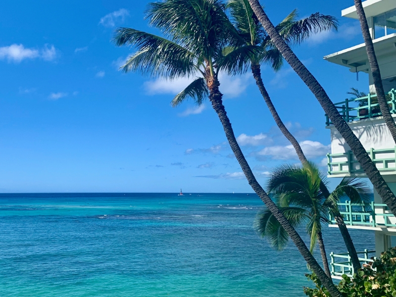 ダイヤモンドヘッド麓のコンドミニアムからの景色